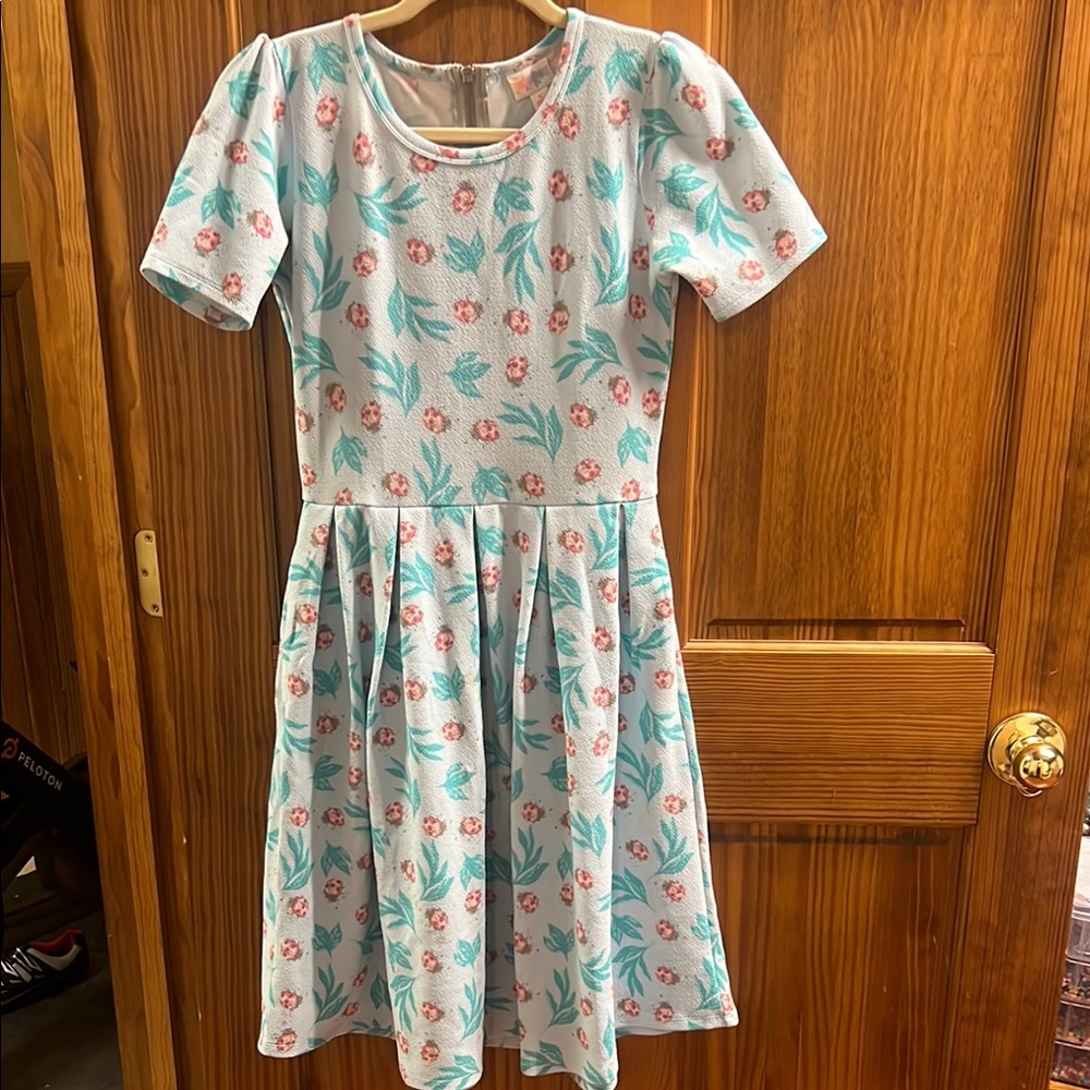 LuLaRoe Pink and Green Pleated A-Line Dress